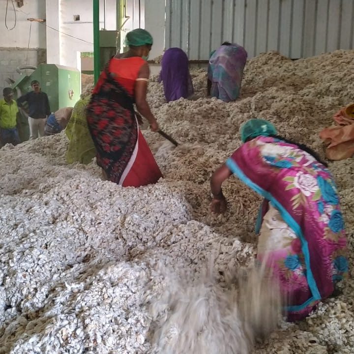 Organic Cotton Processing